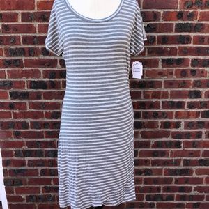 NWT Caslon Knit Dress